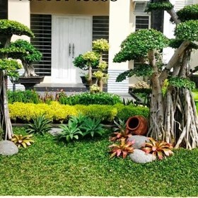 Website: Landscape Taman